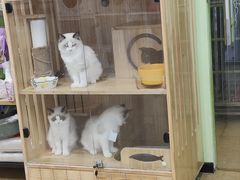 -沐沐家宠物(成寿寺店)