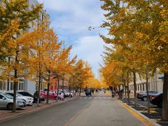 -东北大学(南湖校区)
