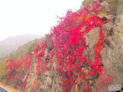 -乌龙峡谷景区
