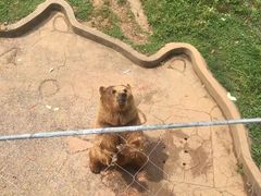 -无锡动物园·太湖欢乐园