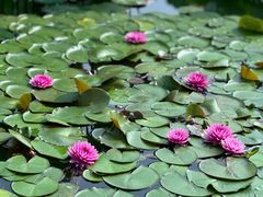 -国家植物园南园