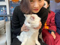 -帝京日语(春熙路旗舰校区)