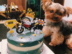 -CarolCake卡萝家(锦华万达店)