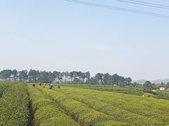 -游子山休闲旅游区