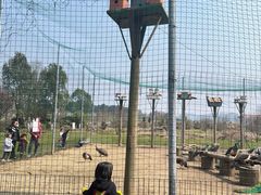 -云漫湖生态度假公园