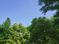 -良渚文化村