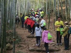 -莫干山风景区