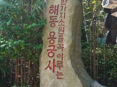 -海东龙宫寺
