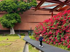 -南越王博物院(王宫展区)