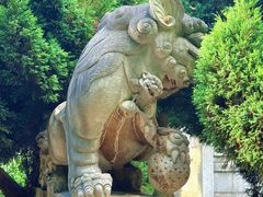-昆明动物园