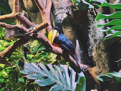 -正佳雨林生态植物园