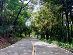 -大雁山风景区