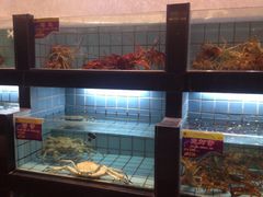 百年食府(亦庄店)-百年食府(亦庄店)
