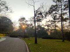 -云溪植物园