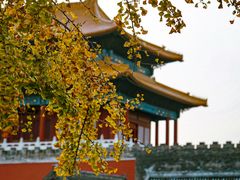 -故宫博物院(故宫)