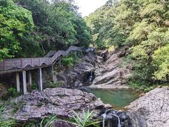 -广州白江湖森林公园