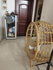 -蜜阁孕味亲子摄影(赛高店)
