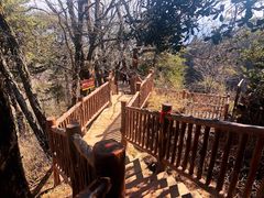 -塔云山