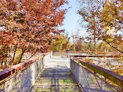 -柳鹭田园区