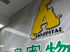 -半岛宠物医院24小时(白果林店)