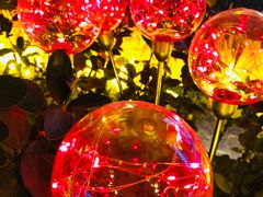 -中央广播电视总台(光华路办公区)