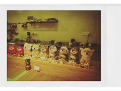 -柴务处·柴犬主题狗咖