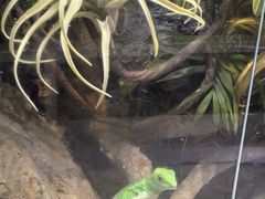 -中国湿地博物馆