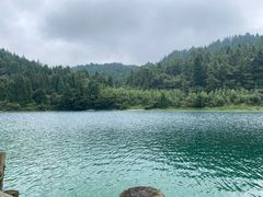 -武陵山森林公园