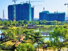 -王借岗森林公园