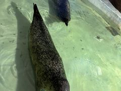 -南昌海洋公园