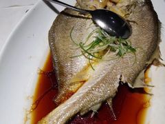 -羲和雅苑•北京烤鸭(陆家嘴中心店)