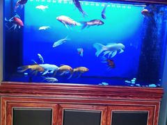 -知足堂养生会所(碑亭巷店)
