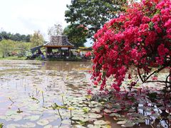-中国科学院西双版纳热带植物园