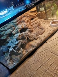 -酷嗒动物文化乐园(cutezoo西溪乐天城店)