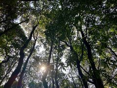 -广州市白云山风景名胜区