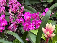 -北京植物园-展览温室