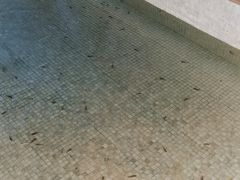 -东方之珠洗浴休闲广场(于家堡店)