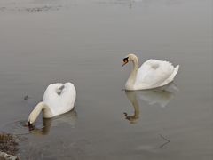 -北龙湖湿地公园