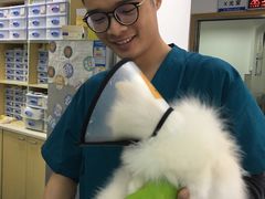 -康成宠物医院24H·CT·核磁共振