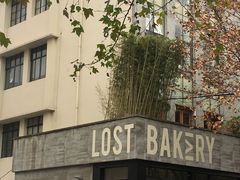 -花马天堂云南餐厅 Lost Heaven(外滩店)