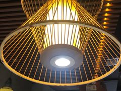 -探窝·竹笙椰子鸡(杨箕店)