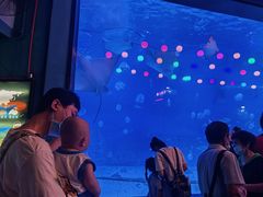 -烟台海昌鲸鲨海洋公园