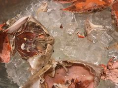 -上海大宁福朋喜来登酒店大堂吧(共和新路店)
