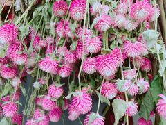 -卓花境Flowerwonderland花店