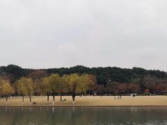 -上海方塔园
