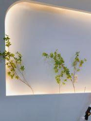 -VE专注问题肌·赛诺龙&科学美肤中心