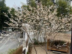 -原乡芦茨咖啡
