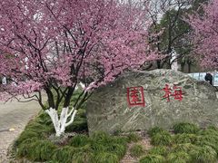 -上海海湾国家森林公园