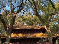 -普陀山风景名胜区-法雨禅寺