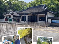 -上海佘山国家森林公园天马山园